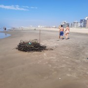 Governo Municipal de Rincão demora para limpar a orla da praia