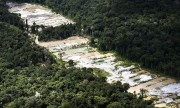 Força-tarefa destrói dez garimpos ilegais na Amazônia (AM)