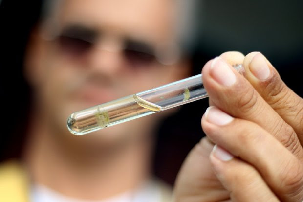 DIVE orienta a&ccedil;&otilde;es para o Dia de Mobiliza&ccedil;&atilde;o contra o Aedes aegypti