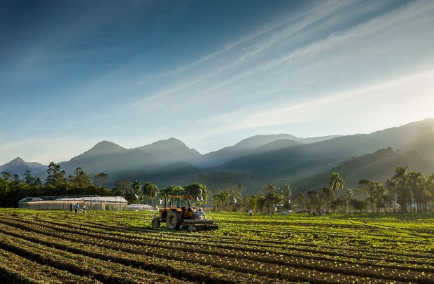 SC investir&aacute; R$ 57 milh&otilde;es em novos projetos de apoio &agrave; agricultura e pesca