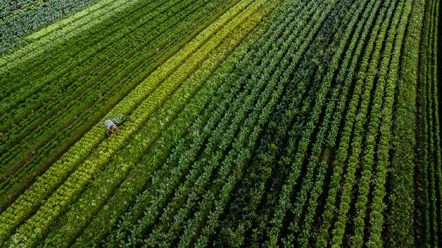 Governo do Estado investe R$ 77,4 milh&otilde;es em programas de fomento agropecu&aacute;rio