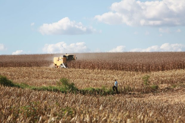 Mapeamento identifica 147 pesquisas e 79 startups na &aacute;rea da agricultura em SC