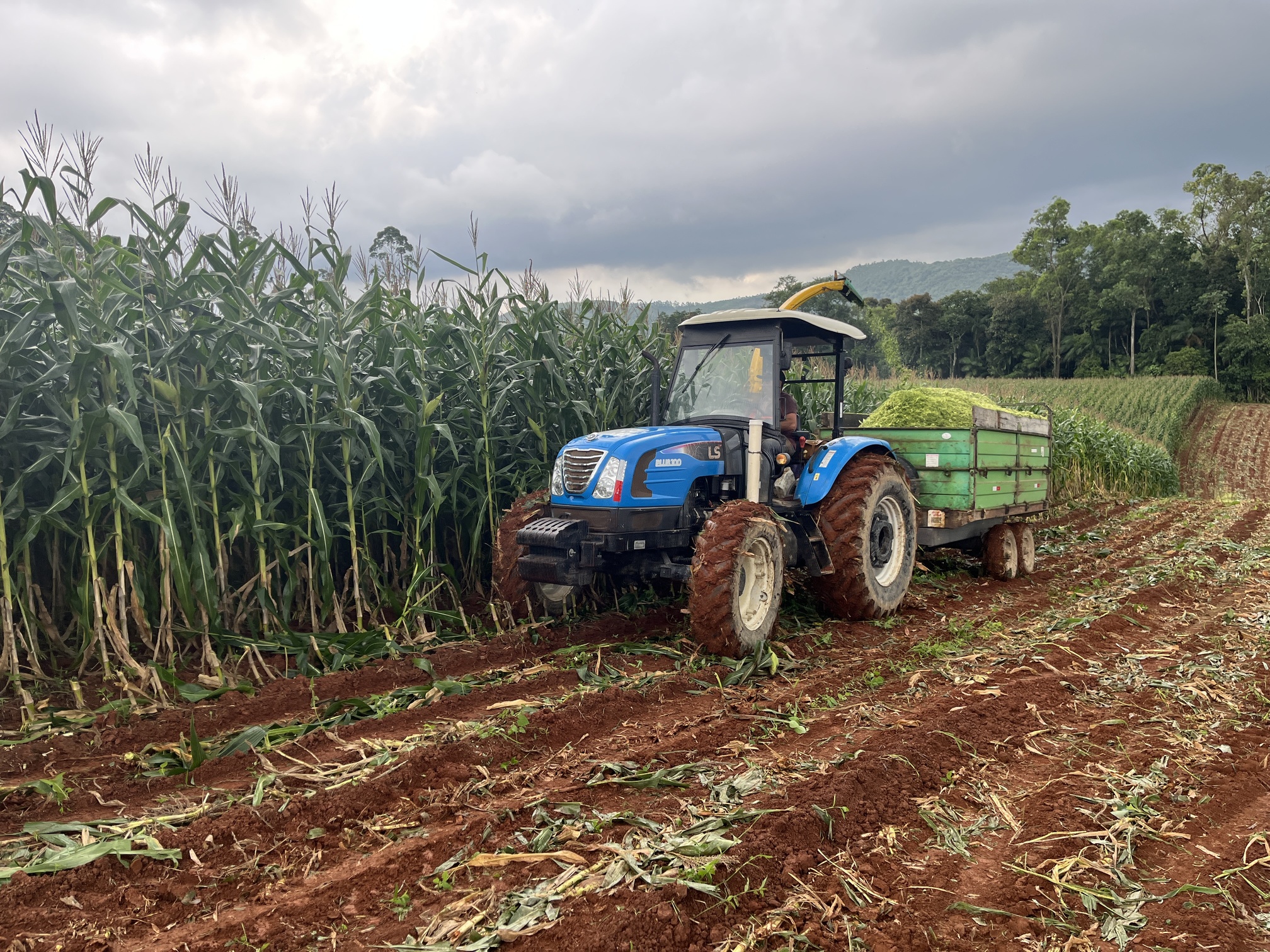 Munic&iacute;pio de Urussanga (SC) receber&aacute; Semin&aacute;rio de Desenvolvimento Rural