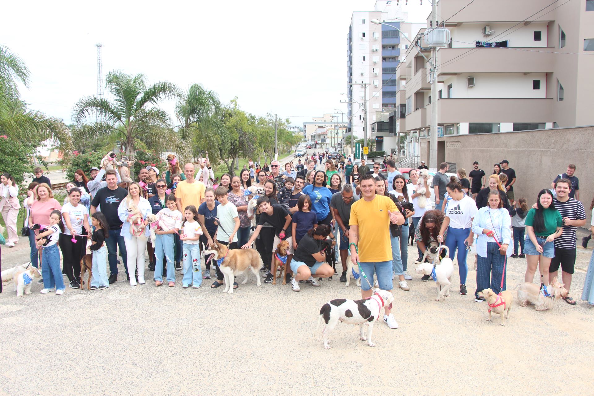 Primeira C&atilde;ominhada de Morro da Fuma&ccedil;a re&uacute;ne apoiadores da causa animal 