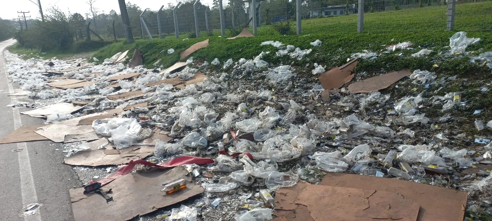 Carga de whisky &eacute; saqueada ap&oacute;s cair de caminh&atilde;o na SC-443 em I&ccedil;ara (SC)