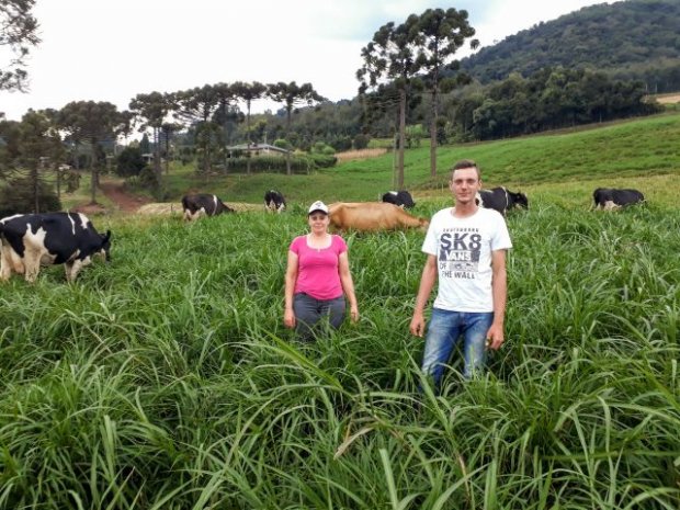 Cada real investido na Epagri gera R$ 6,92 em retorno para a sociedade