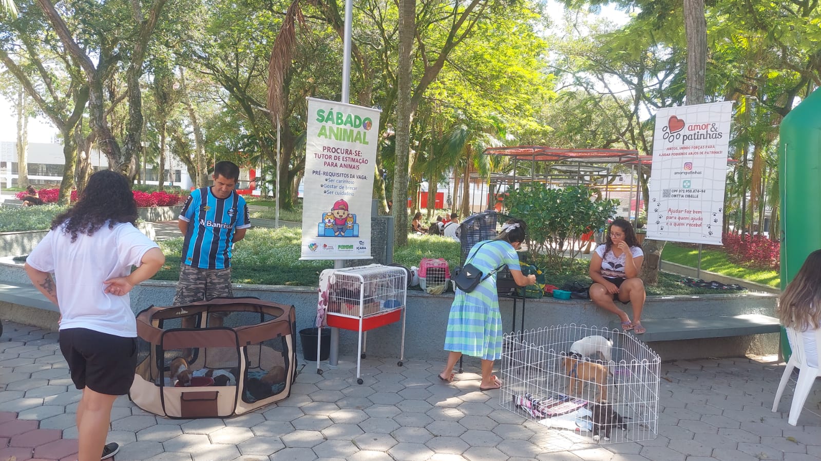 S&aacute;bado ser&aacute; de feira de ado&ccedil;&atilde;o animal no Centro de I&ccedil;ara (SC)