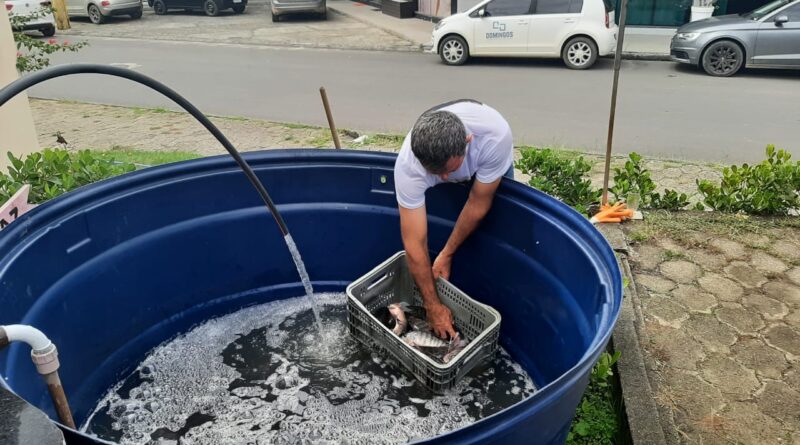 Feira do Peixe Vivo desta semana ser&aacute; na sexta-feira e no s&aacute;bado