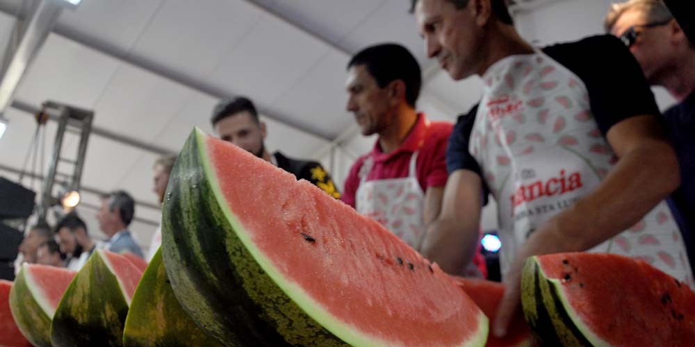 Festa da Melancia em I&ccedil;ara atinge novo recorde de fruta mais pesada