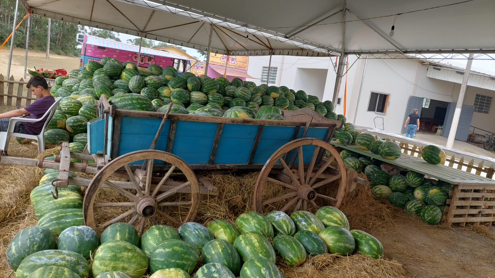 Festa da Melancia em Campo M&atilde;e Luzia &eacute; tradi&ccedil;&atilde;o e cultura de 60 anos