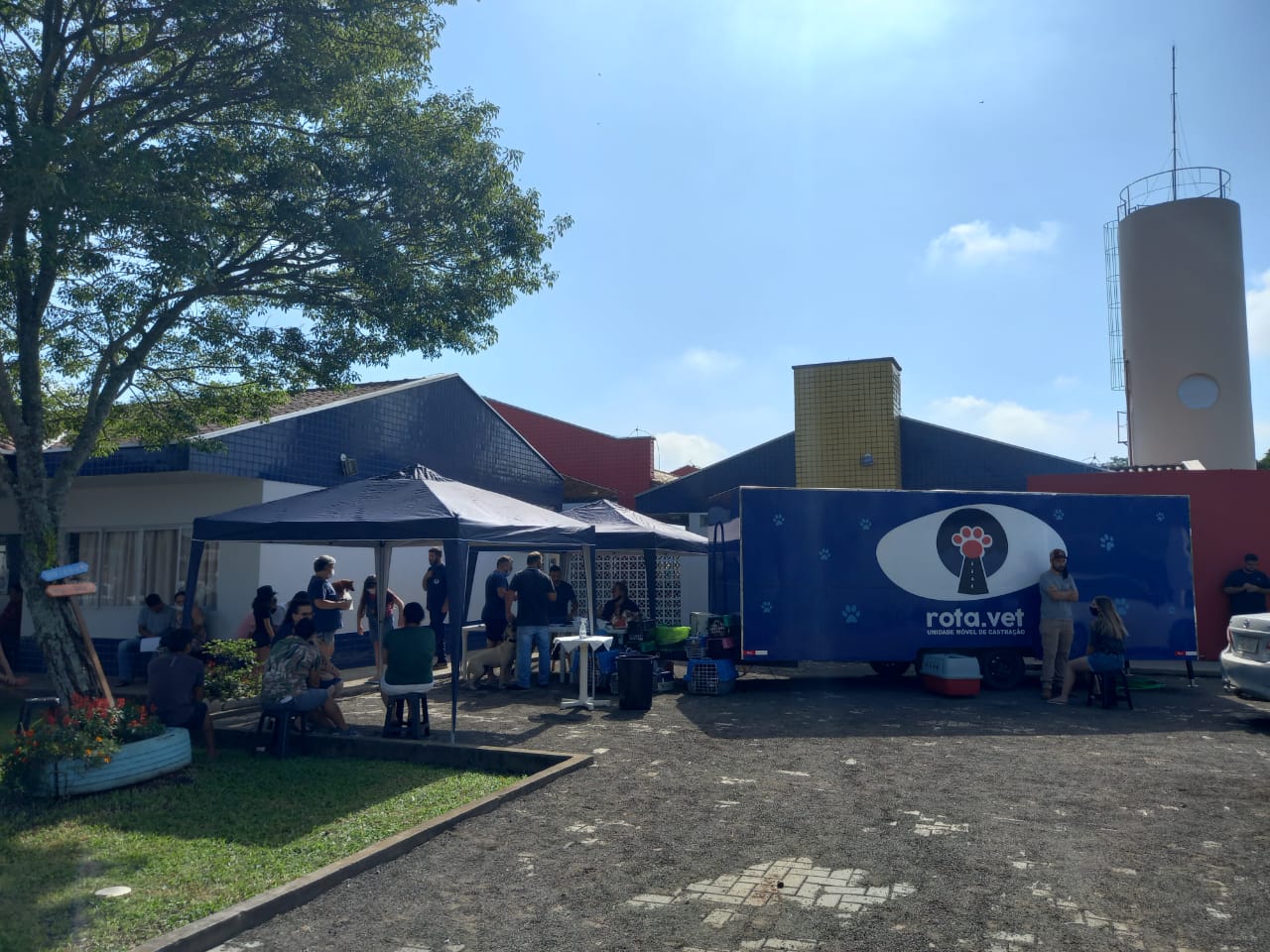 Munic&iacute;pio de Forquilhinha chega a 700 animais castrados em mutir&otilde;es