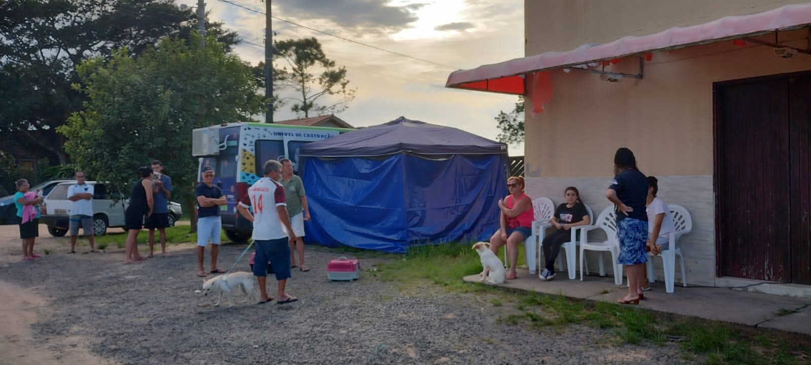 Equipe de atendimento do Busc&atilde;o castra 25 animais no Bairro Lombas