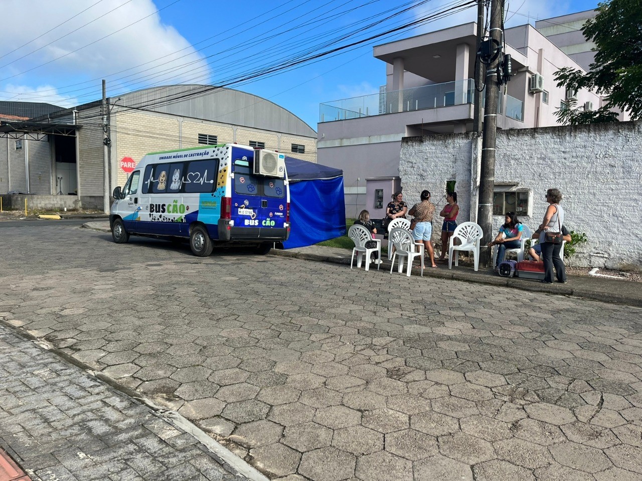 Equipe do BusC&atilde;o castra 12 animais no Bairro Primeiro de Maio