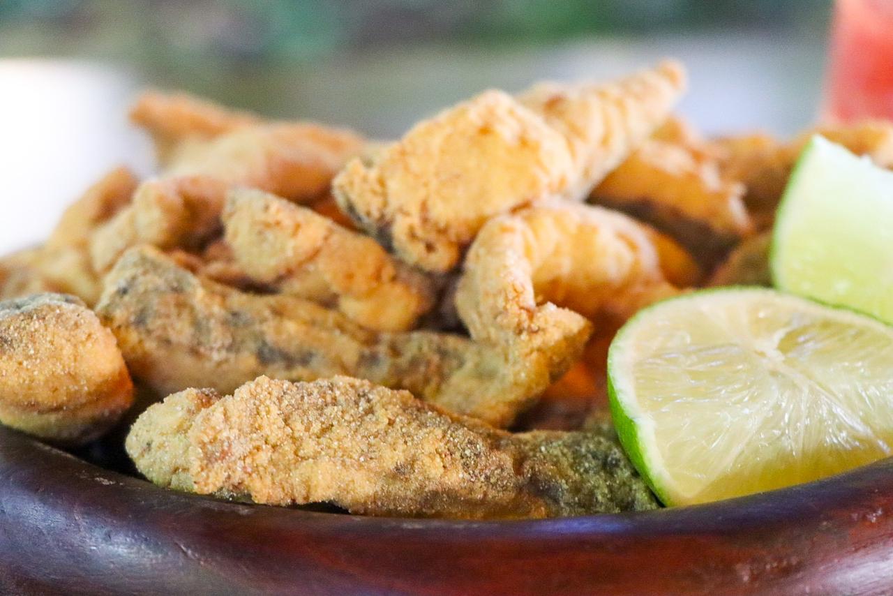 Munic&iacute;pio de Nova Veneza (SC) realiza Festival gastron&ocirc;mico e cultural 