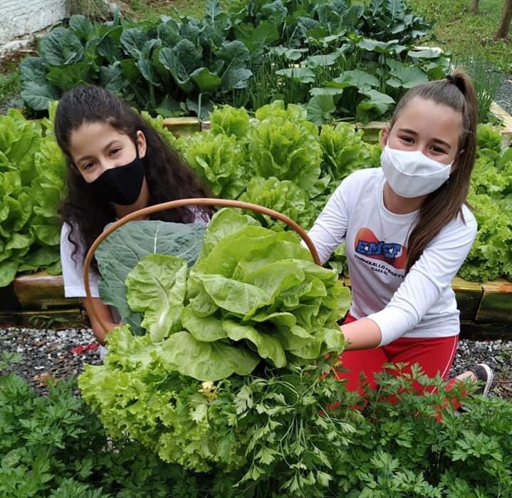 Alunos do Tranquilo Pissetti fazem primeira colheita de hortali&ccedil;as
