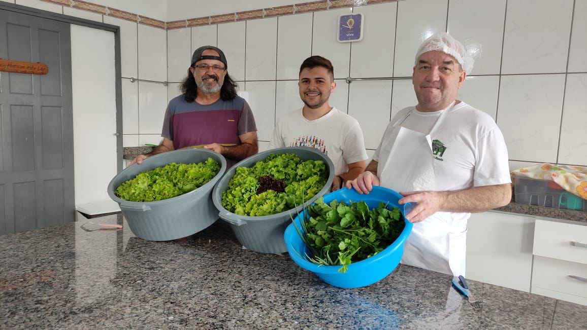 Hortali&ccedil;as de Hortali&ccedil;as experimental de mestrado s&atilde;o doadas em Ararangua