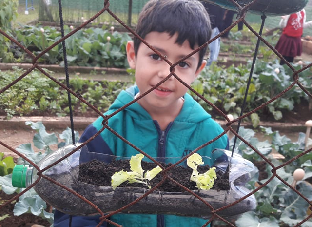 Projeto desenvolvido em escola incentiva o plantio