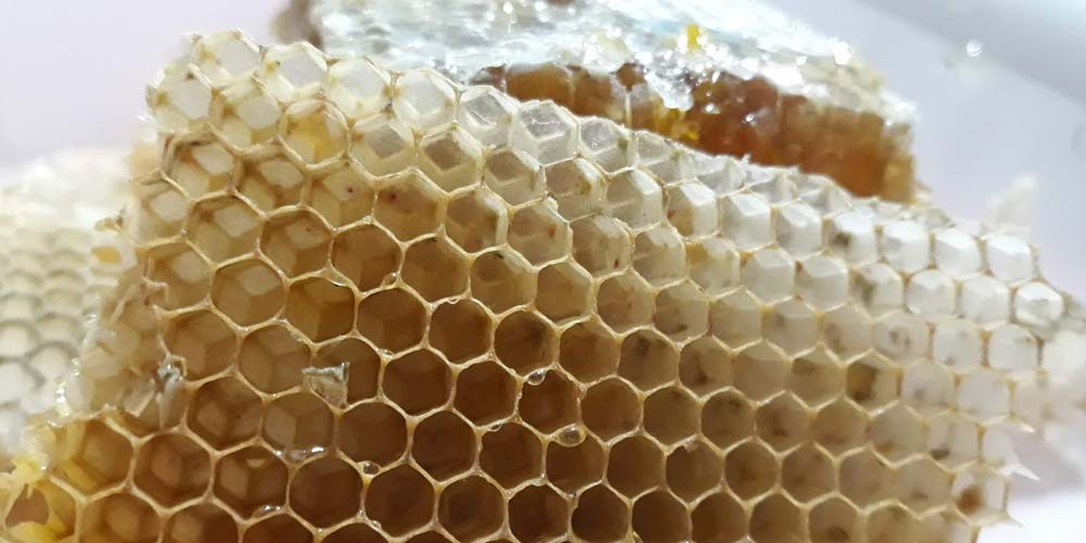 Balan&ccedil;a comercial de I&ccedil;ara acumula super&aacute;vit de US$ 10,7 milh&otilde;es no ano