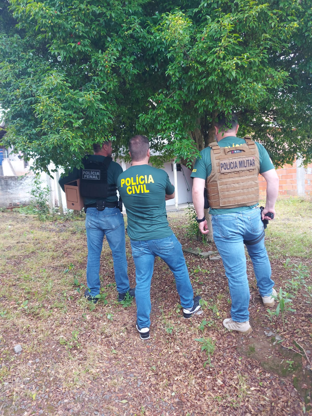 MPSC apoia opera&ccedil;&atilde;o do MPRO contra ocupa&ccedil;&atilde;o de terra p&uacute;blica