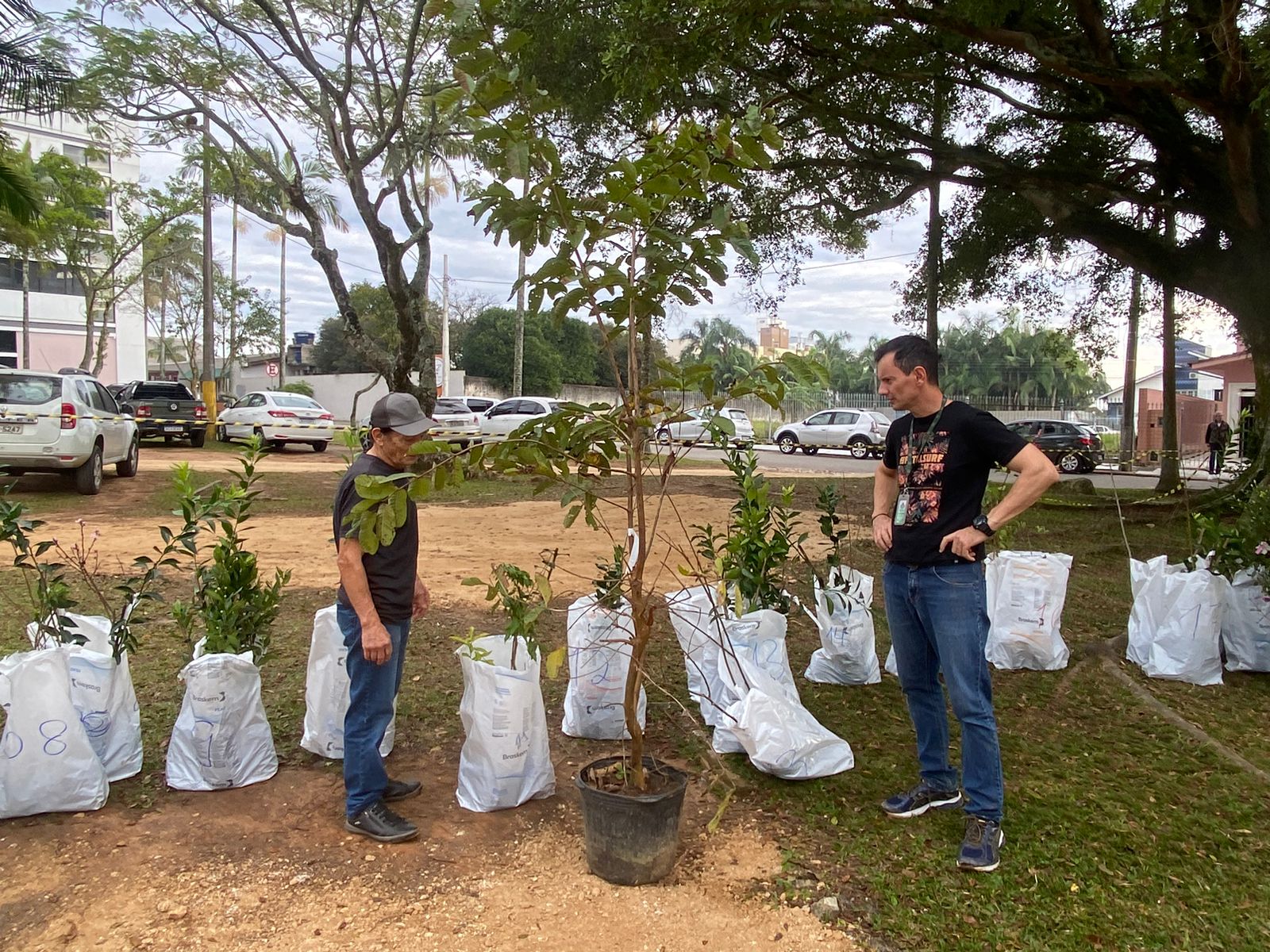 Agricultores de I&ccedil;ara (SC) recebem 700 mudas frut&iacute;feras