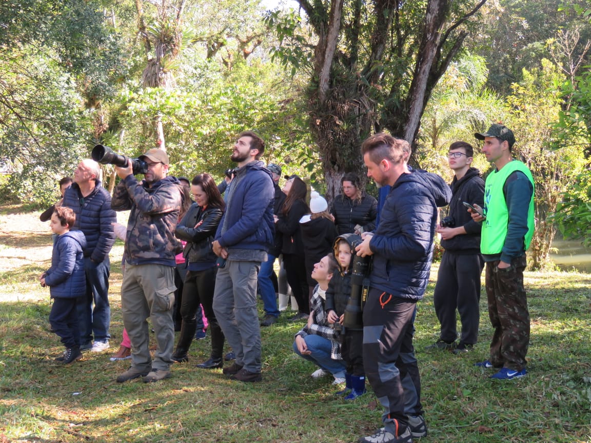 Vem Passarinhar: observa&ccedil;&atilde;o de aves na Reserva S&atilde;o Francisco