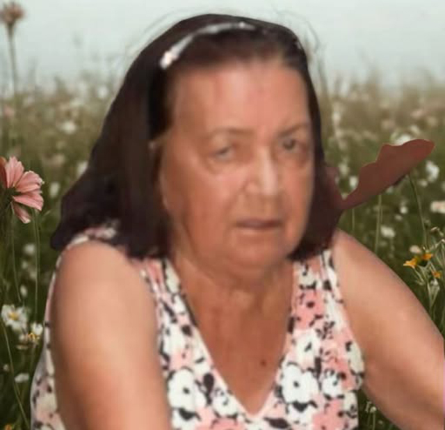 JI News registra o falecimento de   IRENE NARCISO CARDOSO em Rinc&atilde;o (SC)
