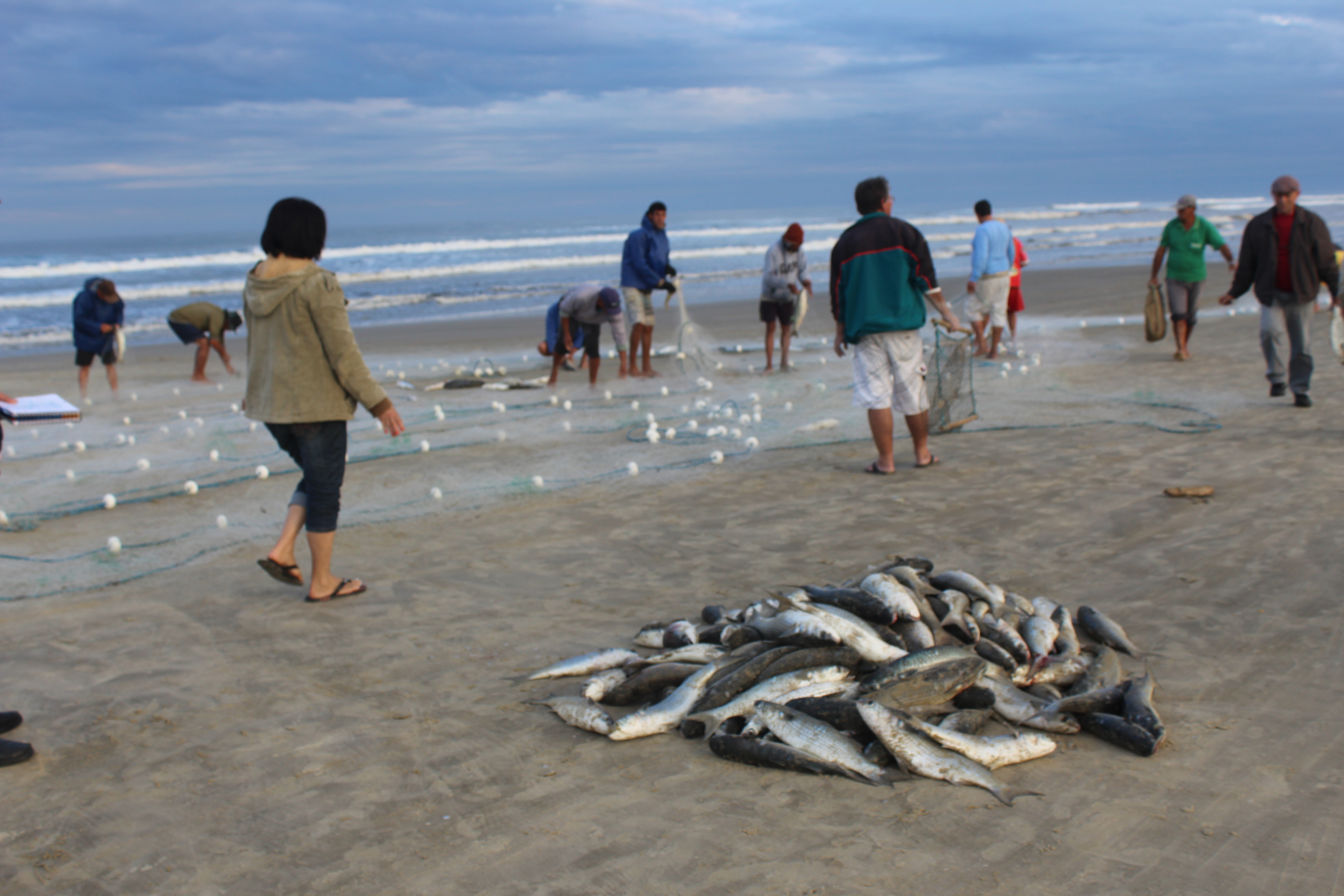Temporada da pesca come&ccedil;a em Rinc&atilde;o (SC) com tr&acirc;nsito regulamentado na orla