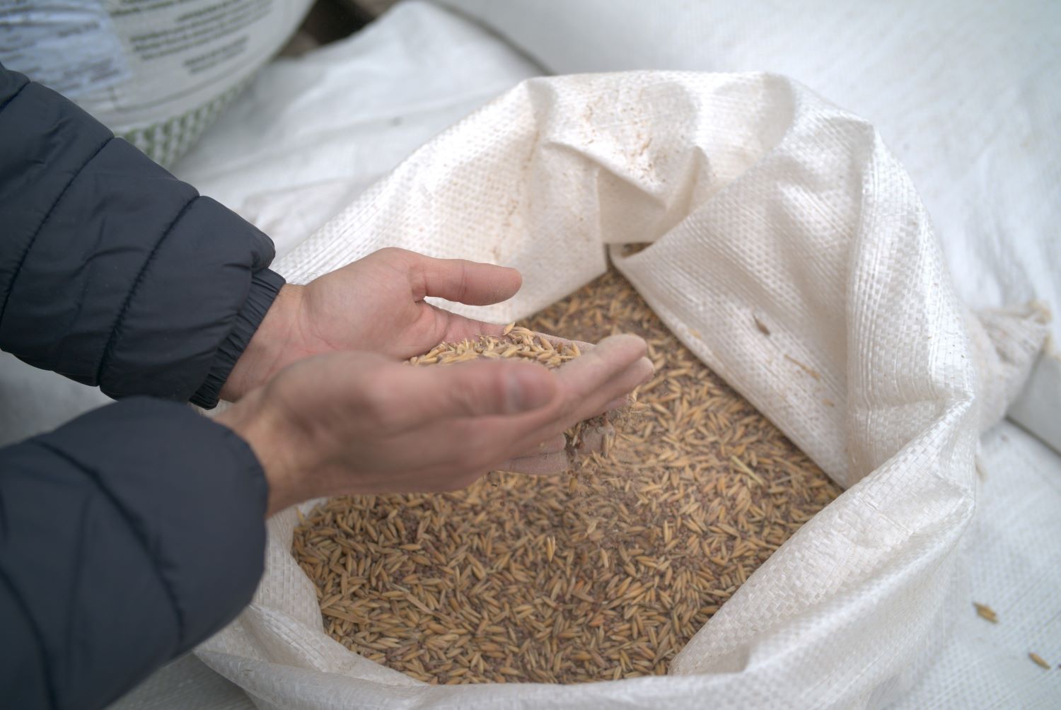 Programa Solo Saud&aacute;vel impulsiona produtividade e preserva a terra em SC