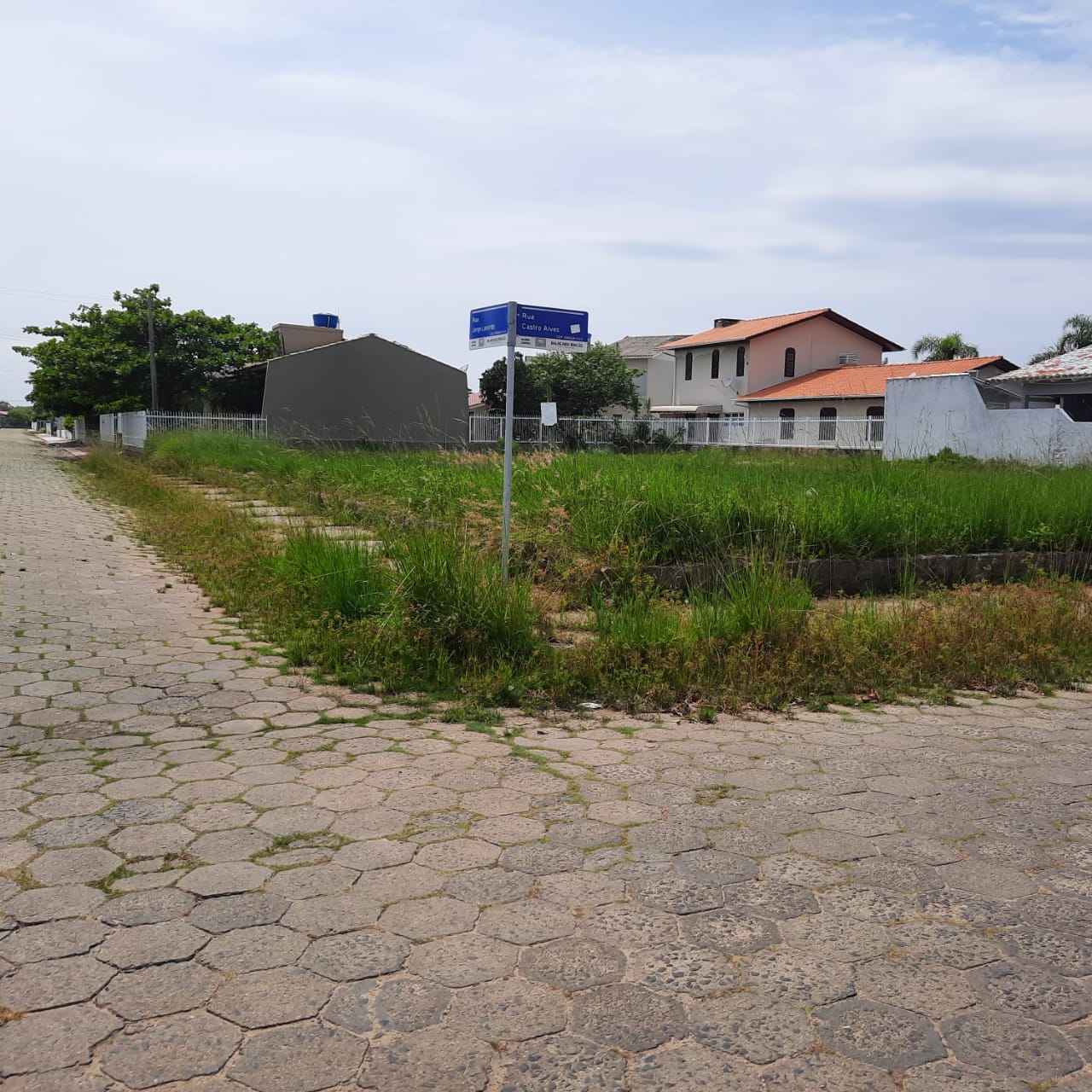 Governo de Balne&aacute;rio Rinc&atilde;o n&atilde;o limpa mato das ruas no Centro da cidade
