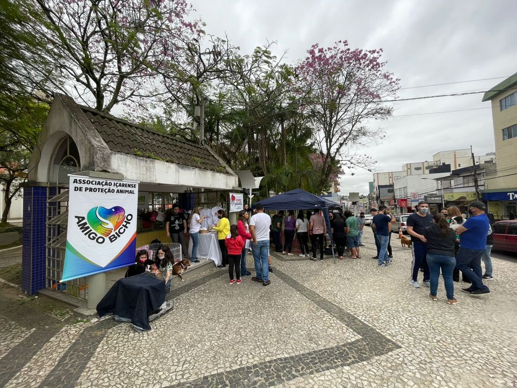 S&aacute;bado Animal com 30 c&atilde;es e gatos para ado&ccedil;&atilde;o em I&ccedil;ara     