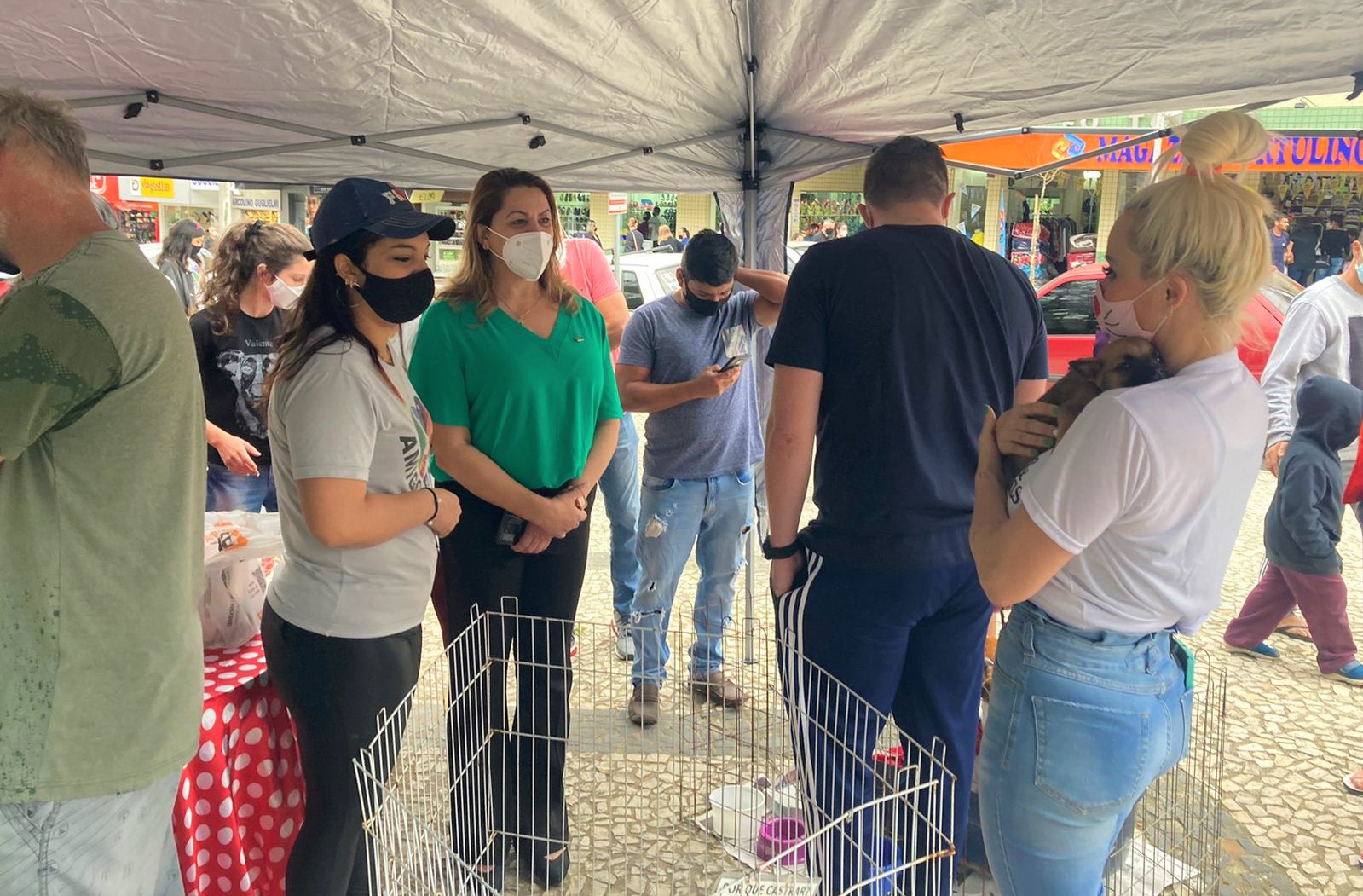 Primeiro S&aacute;bado Animal com 22 animais adotados em I&ccedil;ara