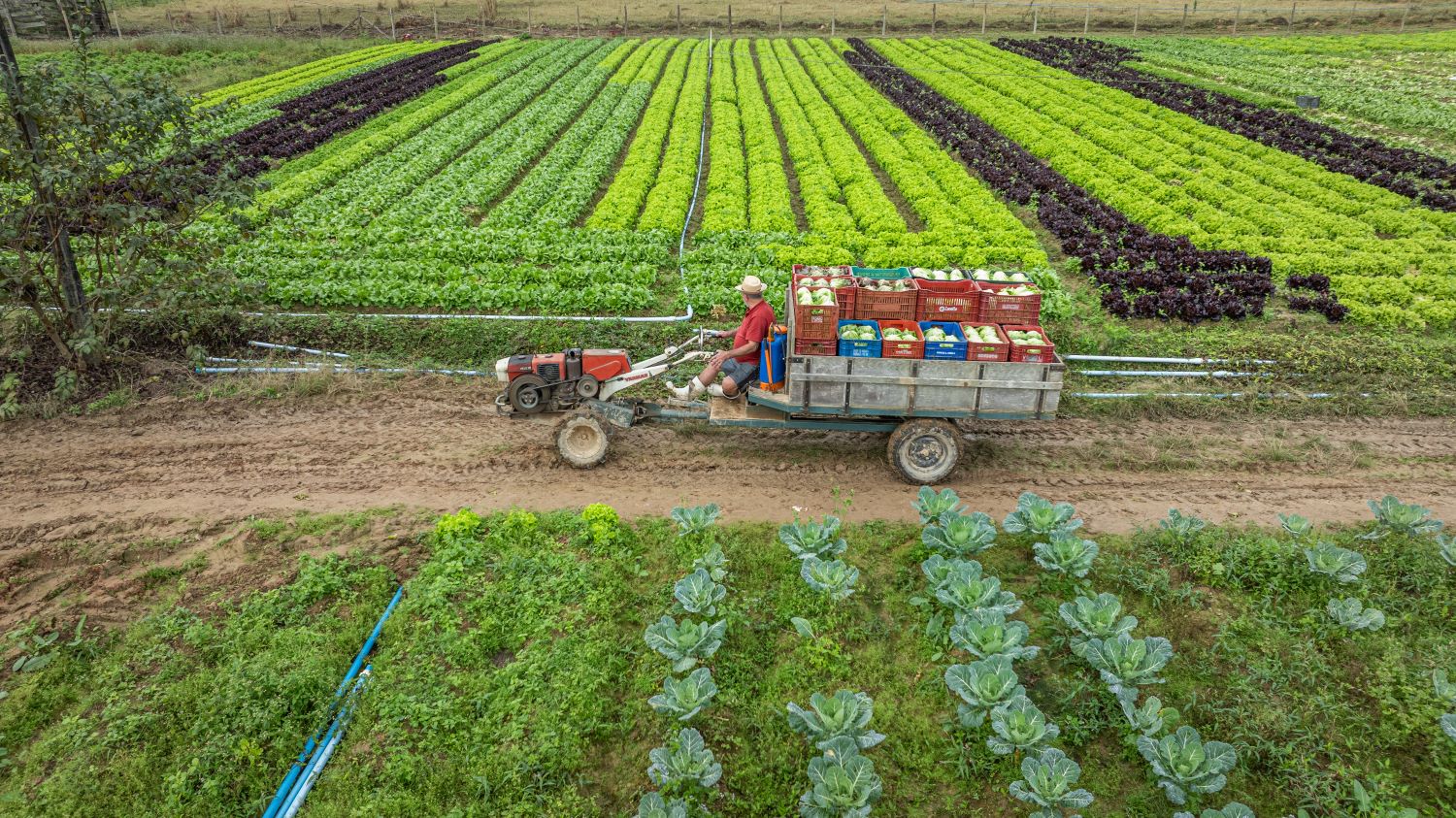 Governo de SC destina mais de R$ 40 milh&otilde;es para projetos de apoio aos produtores