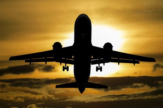 Autoriza&ccedil;&atilde;o de viagem ao exterior &eacute; expedida por meio digital em cart&oacute;rios de SC 