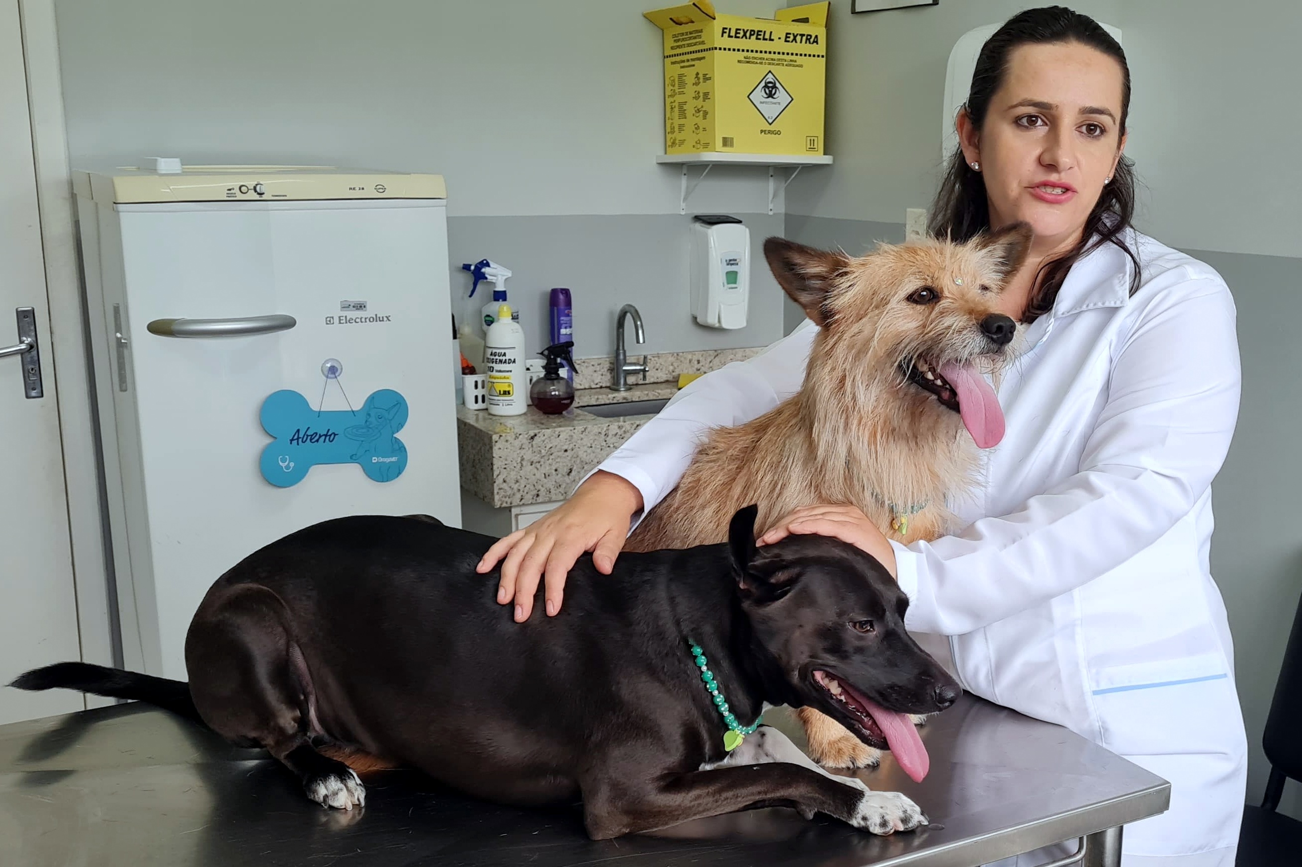 Hospital Veterin&aacute;rio Unibave recomenda vacina&ccedil;&atilde;o contra gripe canina
