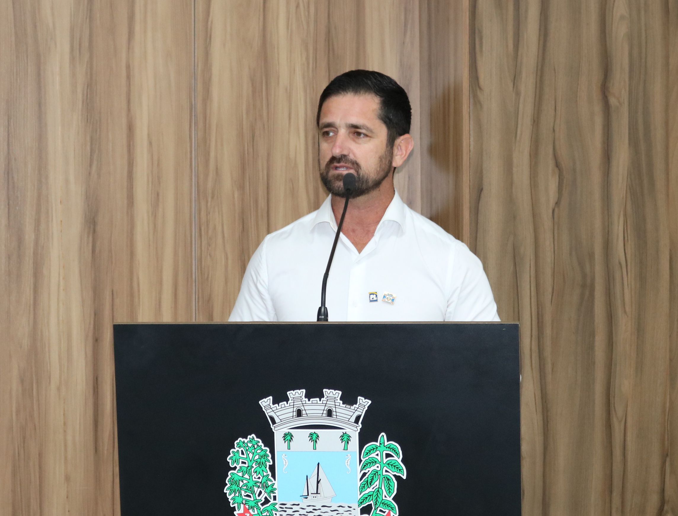 Legislativo retoma debate sobre retirada dos fios inativos dos postes
