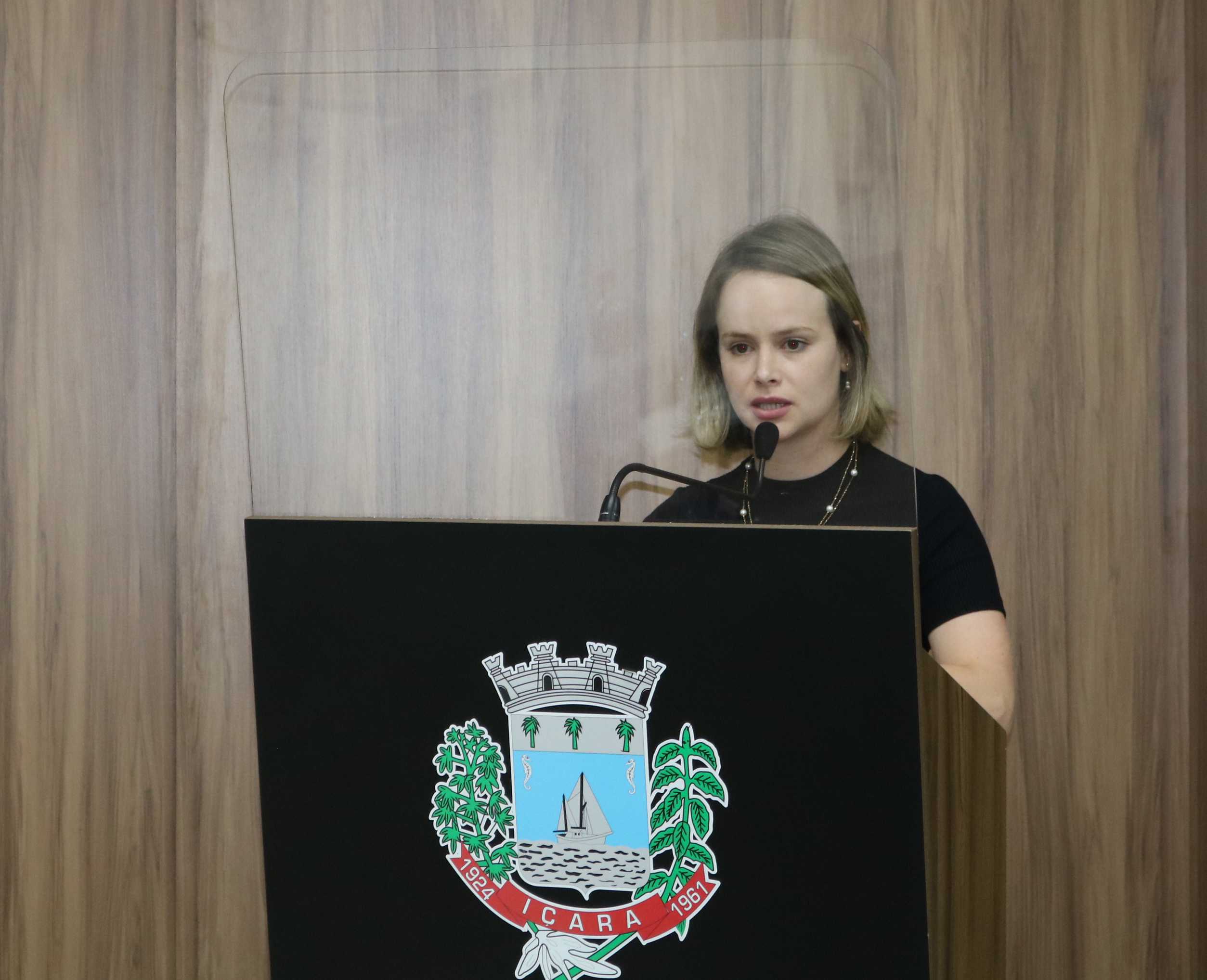 Informa&ccedil;&otilde;es dos conselhos municipais dever&atilde;o ser divulgadas