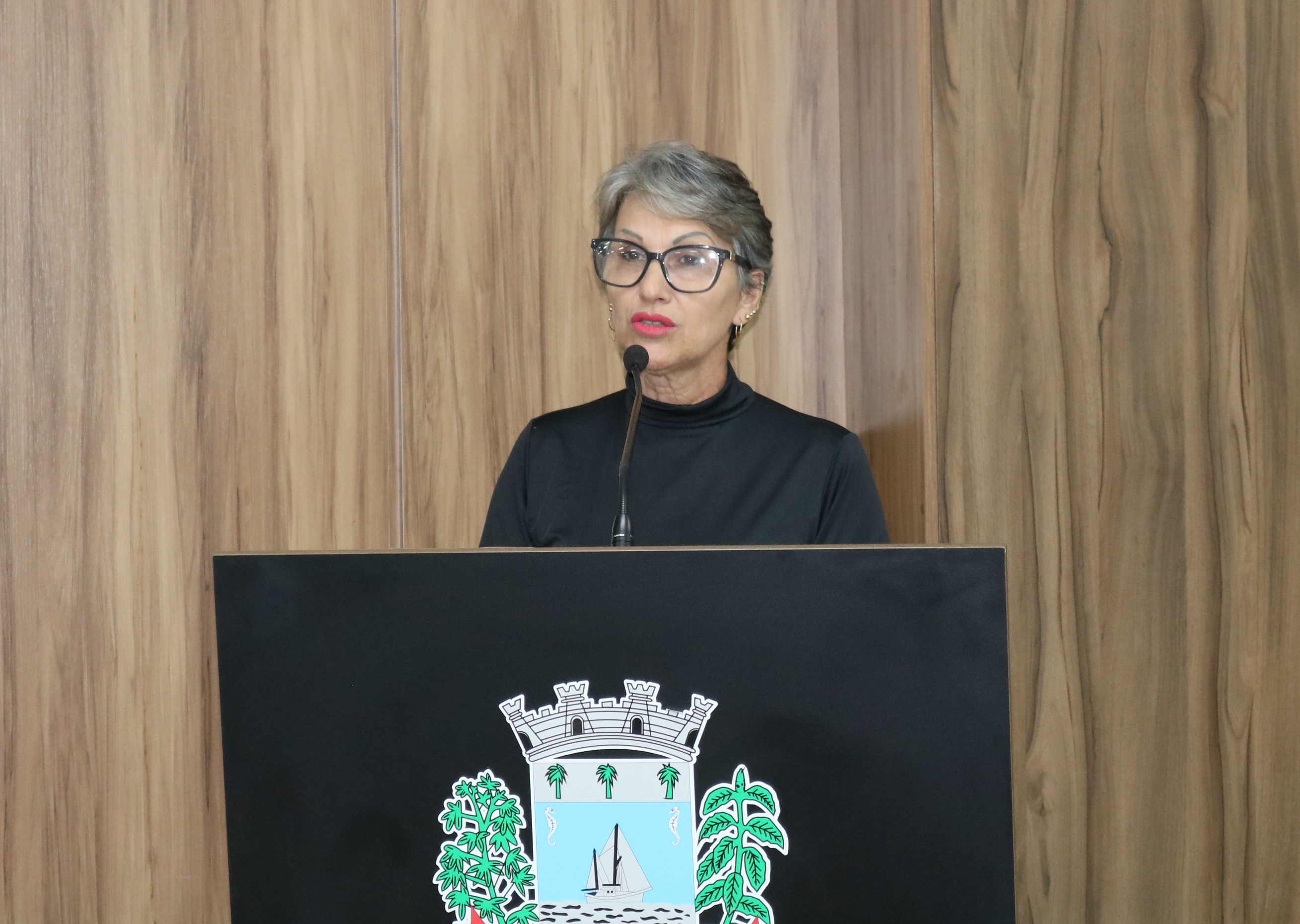 Vereadora Silvia Marreca indica consertos em pavimenta&ccedil;&otilde;es