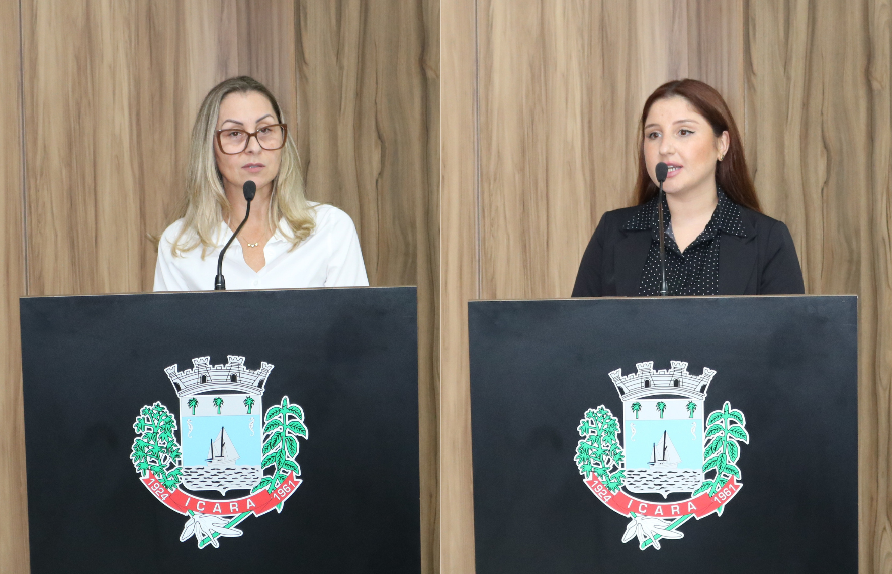 Legislativo aprova programa "Sinal Vermelho Contra a Viol&ecirc;ncia" em I&ccedil;ara (SC)