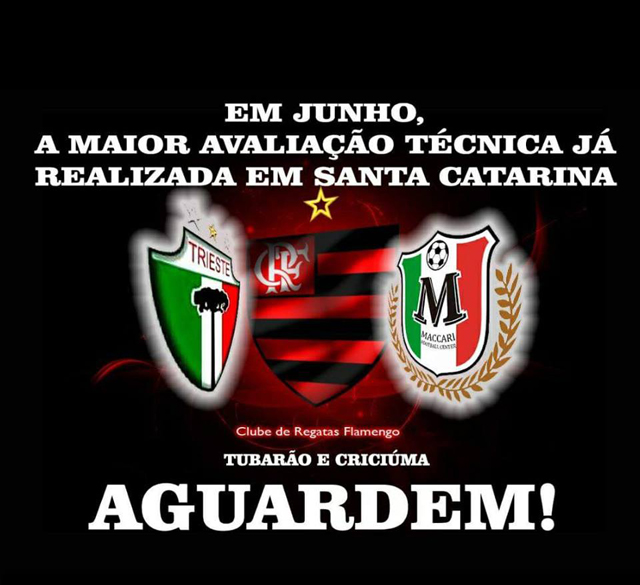 Seletiva para categorias de base do Flamengo ser&aacute; realizada na Satc