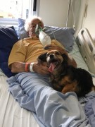 Paciente de 92 anos do HSJosé recebe visita especial Da cachorrinha Lilica