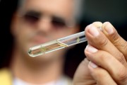 DIVE orienta a&ccedil;&otilde;es para o Dia de Mobiliza&ccedil;&atilde;o contra o Aedes aegypti