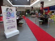 Retratos maternos emocionam no Crici&uacute;ma Shopping