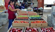 Estiagem eleva preços de hortifrutigranjeiros na Ceagesp