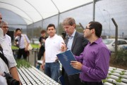Parceria com Cambridge: Estufa hidropônica solar é inaugurada
