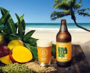 Cervejaria Santa Catarina apresenta lançamentos