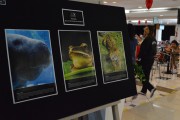 Shopping Della recebe exposi&ccedil;&atilde;o alusiva ao m&ecirc;s do Meio Ambiente