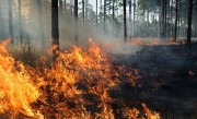 Famsid alerta: queimada é crime ambiental