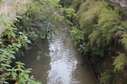 Iniciado o diagnóstico ambiental do leito do Rio Criciúma
