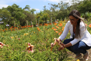 Içara: Dedicação e criatividade marcam projetos de jardinagem e paisagismo