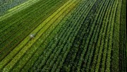 Santa Catarina lança programa de inovação voltado para o agronegócio